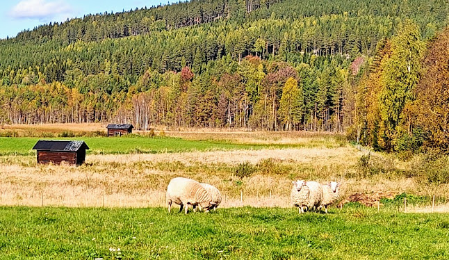 Comments and reviews of Gårdstunet i Finnfara