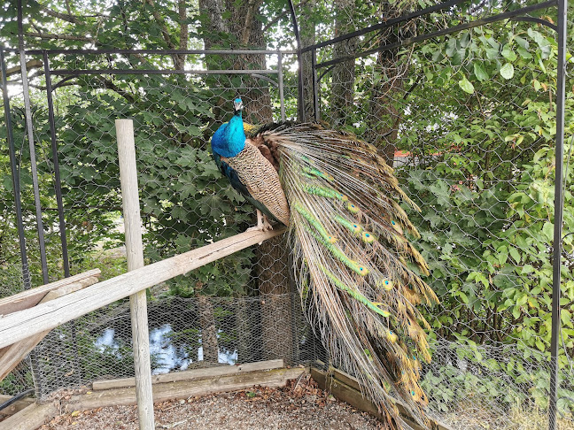 Stora Lunån Gårdscafé Open Times