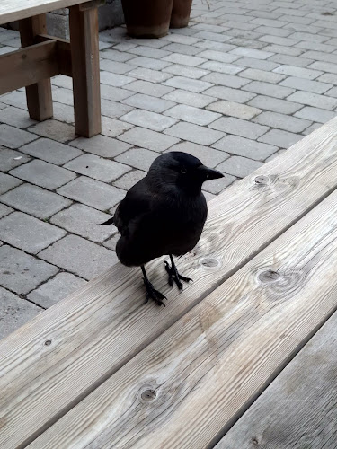 Artisan Bread - Gastronomi och hotellverksamhet