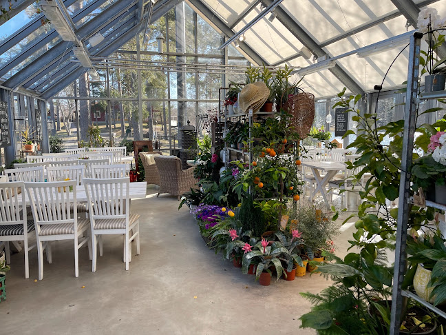 Tindered Trädgård Café - Gastronomi och hotellverksamhet