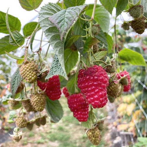 Axelssons i Aby - Målilla