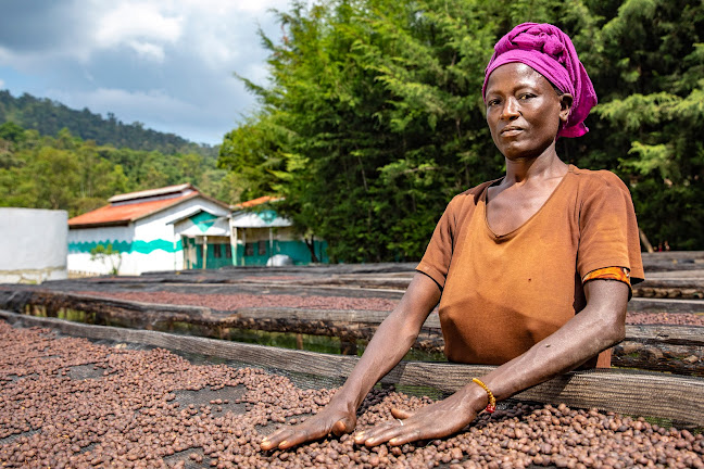 Comentarii opinii despre Balck Coffee