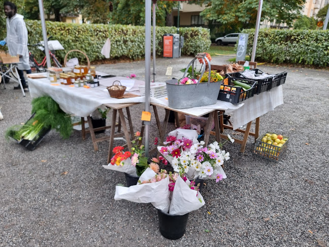 Tessinparken - Gastronomi och hotellverksamhet