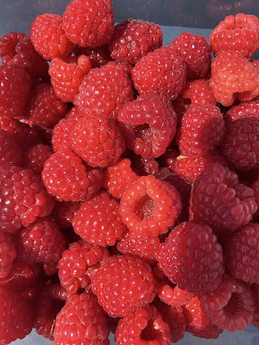 Ombergsboden - Ödeshög