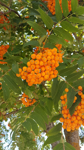 Mjölbygatan 32, 596 34 Skänninge