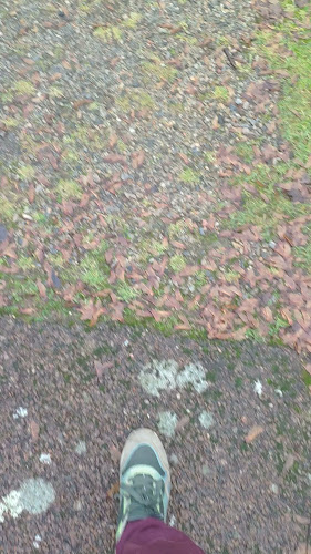 Rastplats Boråstorpet