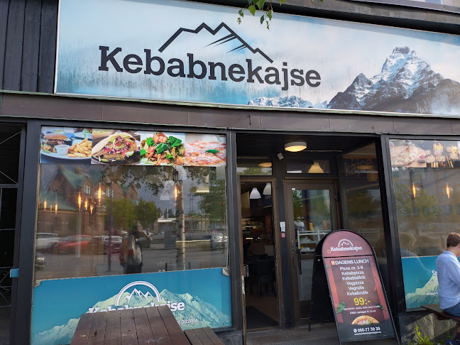 Kebabnekajse Pizzeria - Gastronomi och hotellverksamhet