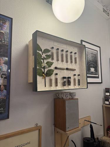 Opinii despre Gringo Nordic Coffee Roasters în Göteborg - Gastronomi och hotellverksamhet