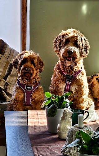 Hedinsgatan 13, 115 33 Stockholm