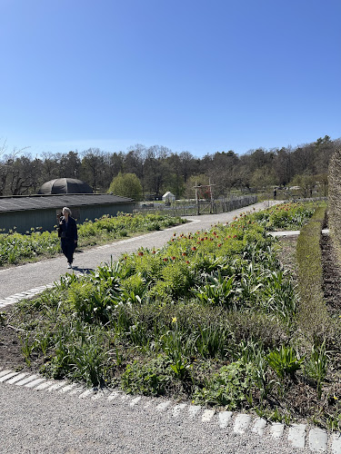 Comentarii opinii despre Rosendals Trädgårdskafé