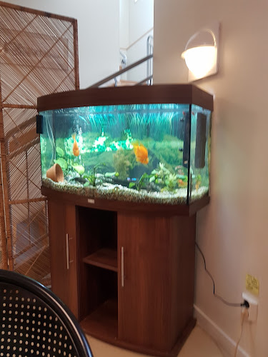 Café Grenadjären Soldathemmet - Gastronomi och hotellverksamhet