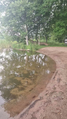 Café Björnen - Gastronomi och hotellverksamhet