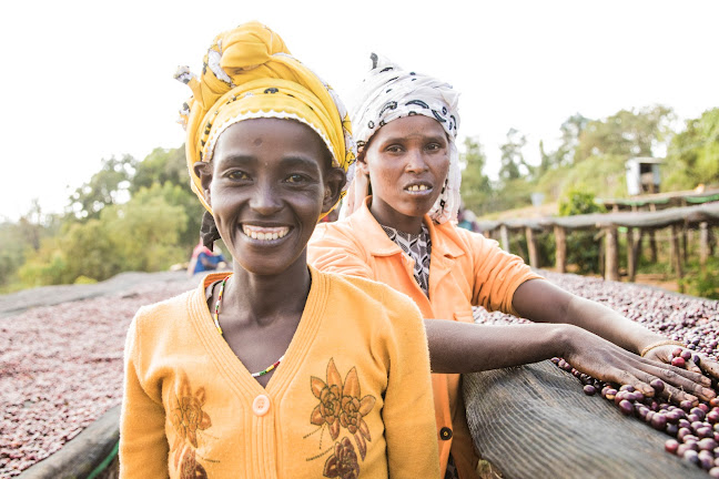 Polhemsgatan 30, 392 32 Kalmar