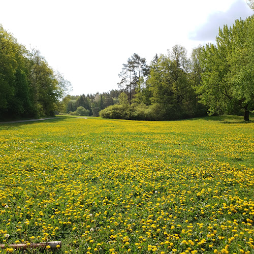 Gateau Södra Ängby - Gastronomi och hotellverksamhet