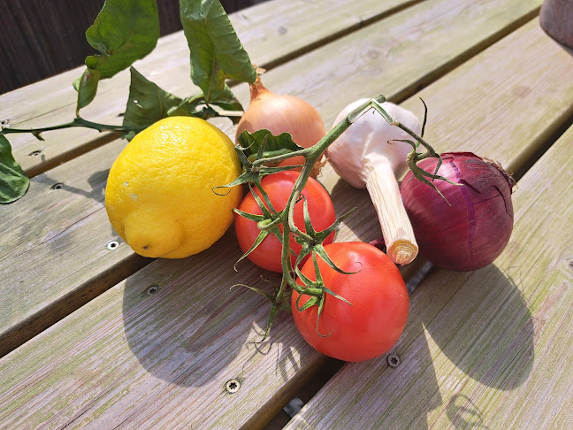 Maries Kök - Gastronomi och hotellverksamhet