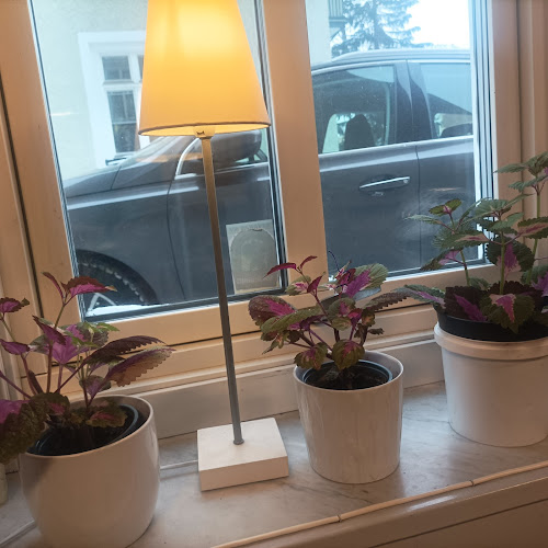 Comentarii opinii despre Odencaféet