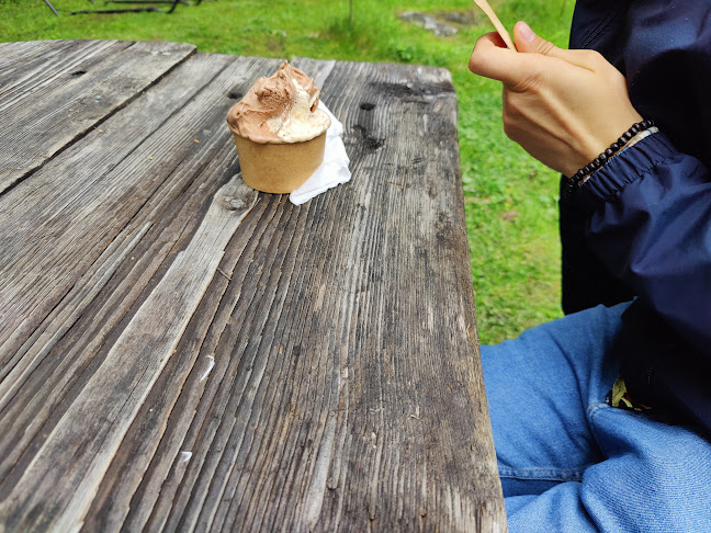 Svelato Gelatolabb & Café - Gastronomi och hotellverksamhet