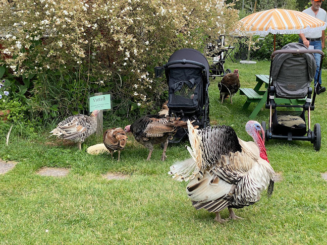 Stora Lunån Gårdscafé - Gastronomi och hotellverksamhet