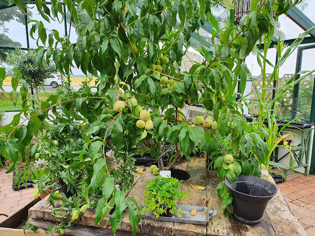 Karlsfältsvägen 363, 271 73 Köpingebro