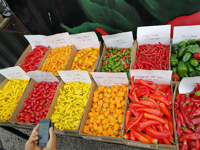 Reviews of Holy Smoke BBQ in Nyhamnsläge - Gastronomi och hotellverksamhet