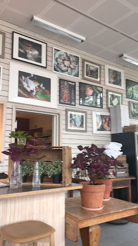 Hos Talevski i Stadsparken - Gastronomi och hotellverksamhet