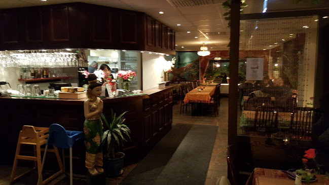 Comments and reviews of Thai Amari