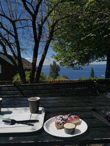 Opinii despre Brunstorps Trädgårdscafé în Huskvarna - Gastronomi och hotellverksamhet