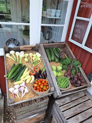 Opinii despre Ekö Gård - Gårdsbutik och Trädgårdscafé în S:t Anna - Gastronomi och hotellverksamhet
