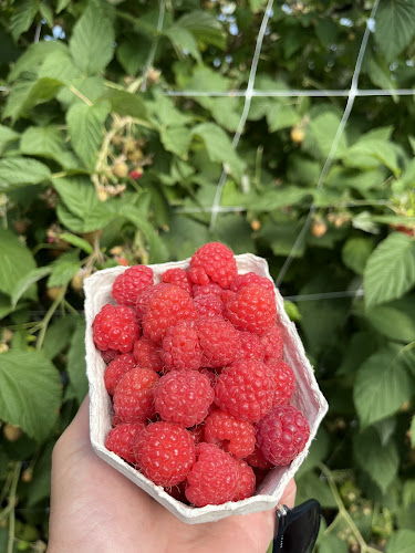 Opinii despre Axelssons i Aby în Målilla - Gastronomi och hotellverksamhet