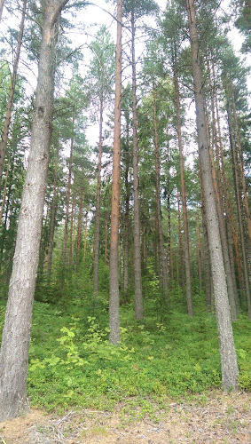 Mariebergsgården - Gastronomi och hotellverksamhet