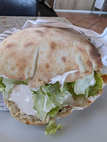 Helenas Pizzeria & Kebab - Gastronomi och hotellverksamhet