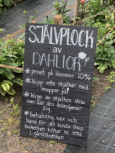 Comentarii opinii despre Vareborgs Bärodling AB