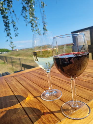 Bistråå Strandkrog & Minigolf - Gastronomi och hotellverksamhet