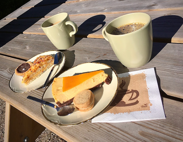 Café Villa Björkås - Gastronomi och hotellverksamhet