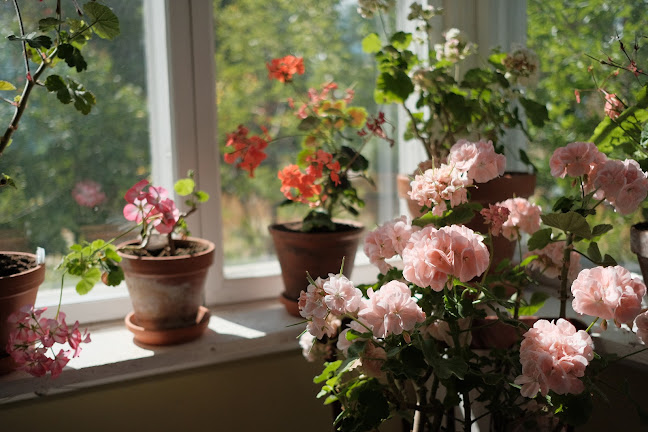 Torekällberget, 151 45 Södertälje