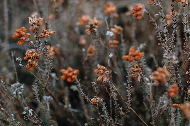 Hvildmarken - Jönköping