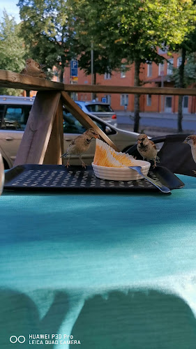 Opinii despre Adams Kafé în Skarpnäck - Gastronomi och hotellverksamhet