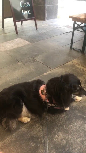 BrewDog Malmö - Malmö