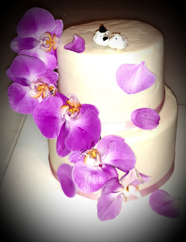 Konditori Cake by Padi - Gastronomi och hotellverksamhet