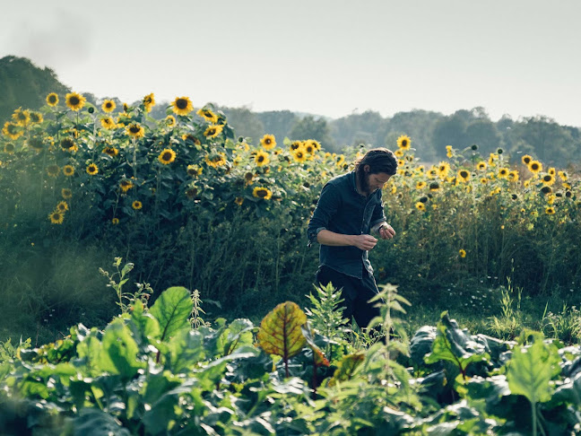 Restaurang ÄNG - Gastronomi och hotellverksamhet