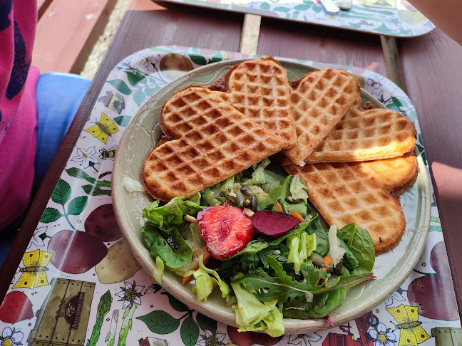 Comentarii opinii despre Axelssons i Aby