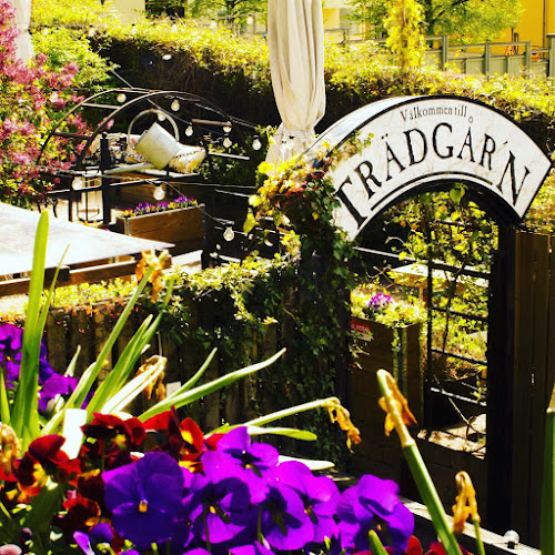 Trädgår'n Norrköping - Norrköping