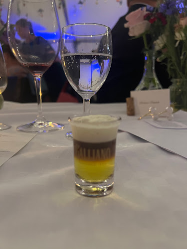 Comentarii opinii despre Borgmestaren