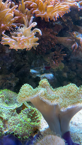 Reviews of Universeum (RESTAURANG) in Göteborg - Gastronomi och hotellverksamhet