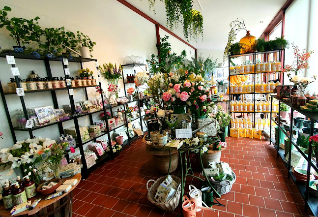 HAFI Hallands Fruktindustri AB