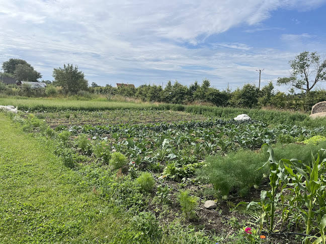 Hävdavägen 63, 276 36 Borrby