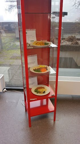 Comentarii opinii despre Matlusten