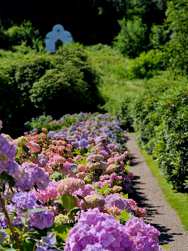 Orangeriet Restaurang - Gastronomi och hotellverksamhet