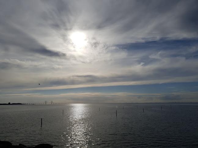 Gelato by Smak - Gastronomi och hotellverksamhet