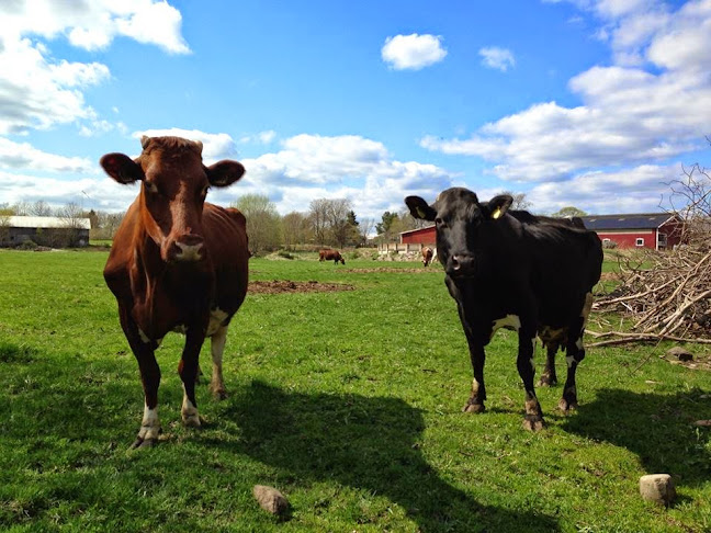 Väddö Gårdsmejeri - Gårdsbutik & Café - Väddö